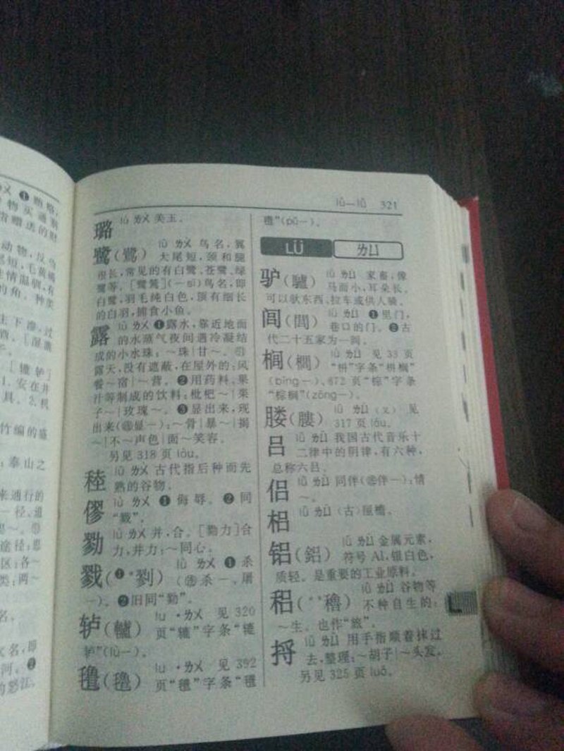 如何正确安装与维护您的汉语词典